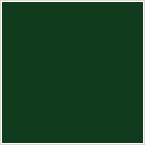 103B1D Hex Color Image (BUSH, GREEN)