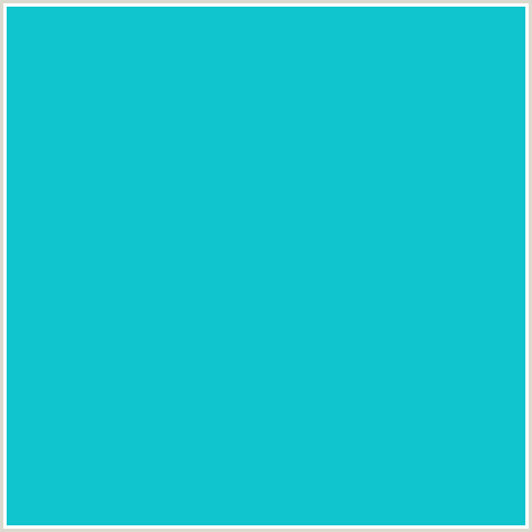 10C5CD Hex Color Image (BRIGHT TURQUOISE, LIGHT BLUE)
