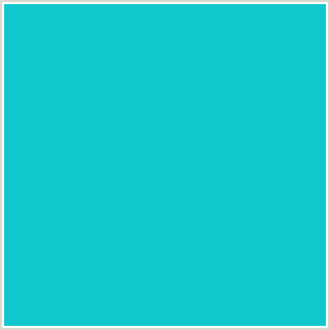 10C8CD Hex Color Image (BRIGHT TURQUOISE, LIGHT BLUE)