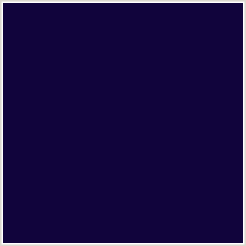 11043C Hex Color Image (BLACK ROCK, BLUE VIOLET)