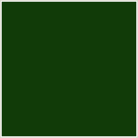 113B08 Hex Color Image (DARK FERN, GREEN)