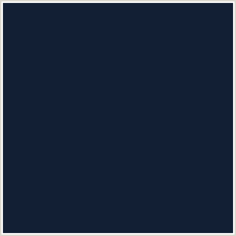 121F34 Hex Color Image (BIG STONE, BLUE, MIDNIGHT BLUE)