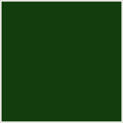 133D0C Hex Color Image (DEEP FOREST GREEN, GREEN)