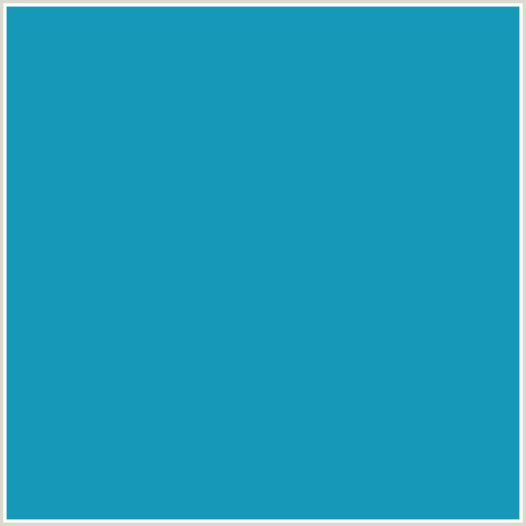 1698B8 Hex Color Image (EASTERN BLUE, LIGHT BLUE)