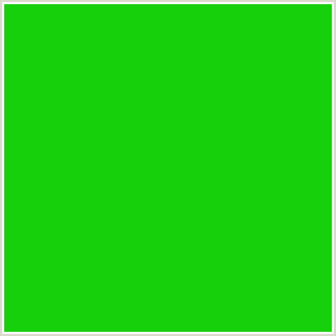 16D00B Hex Color Image (GREEN)