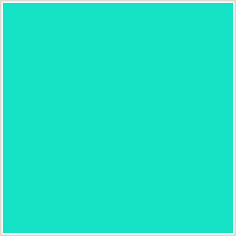 16E3C5 Hex Color Image (BLUE GREEN, BRIGHT TURQUOISE)