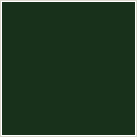 18311B Hex Color Image (CELTIC, GREEN)