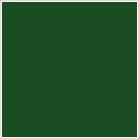 184D22 Hex Color Image (GREEN, PARSLEY)