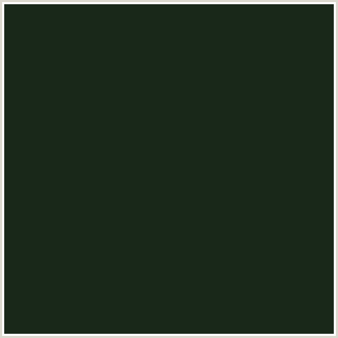 192819 Hex Color Image (GREEN, GREEN KELP)