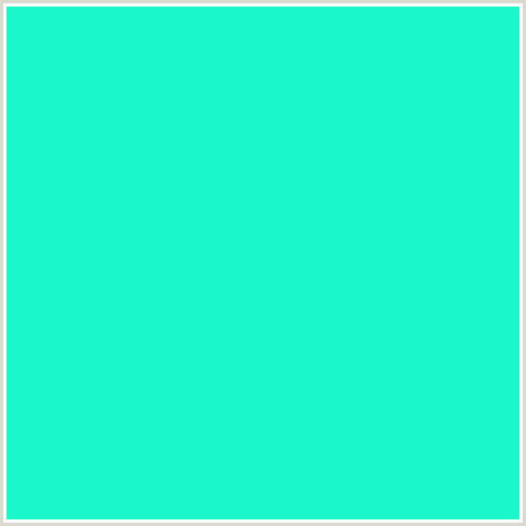 19F7CB Hex Color Image (BLUE GREEN, BRIGHT TURQUOISE)