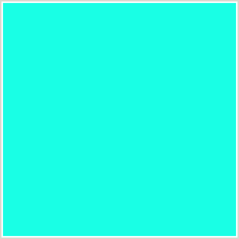 19FFE5 Hex Color Image (BLUE GREEN, CYAN)