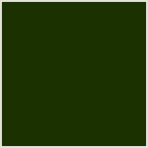 1A3300 Hex Color Image (DEEP FIR, GREEN YELLOW)