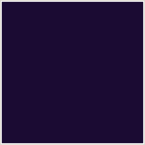 1B0B33 Hex Color Image (BLUE VIOLET, VIOLET)