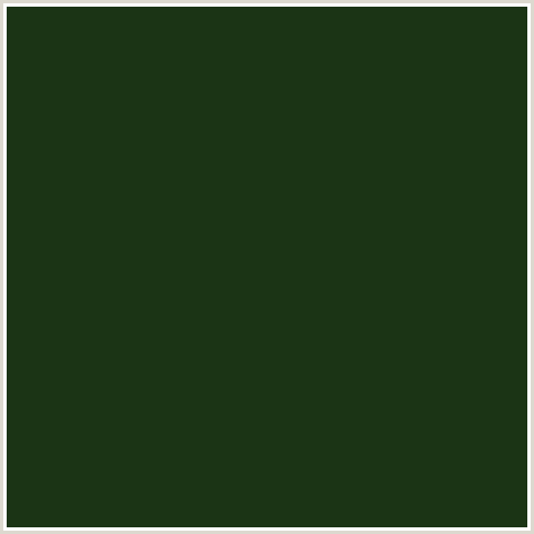 1B3415 Hex Color Image (GREEN, SEAWEED)