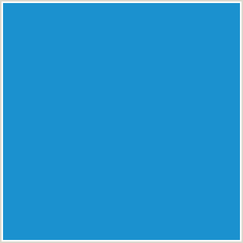 1B91CF Hex Color Image (BLUE, CURIOUS BLUE)