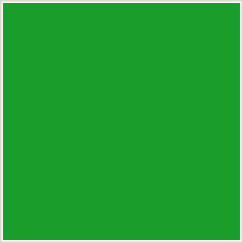 1B9D2B Hex Color Image (FOREST GREEN, GREEN)