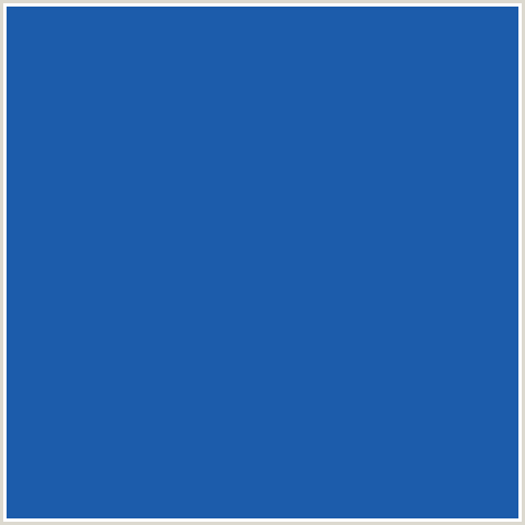 1C5CAB Hex Color Image (BLUE, FUN BLUE)