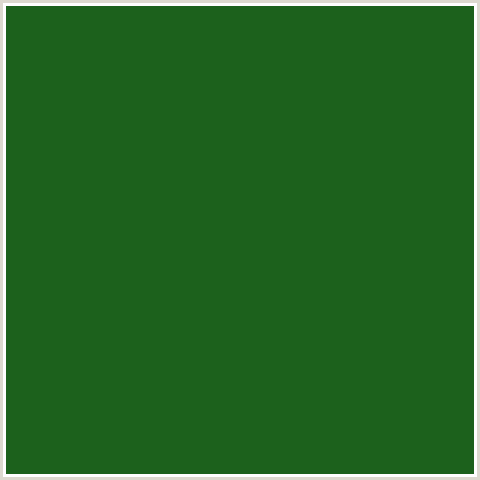 1C611C Hex Color Image (GREEN, PARSLEY)