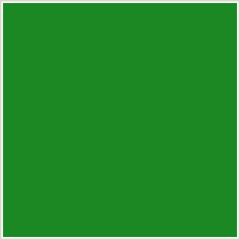1C8824 Hex Color Image (FOREST GREEN, GREEN)