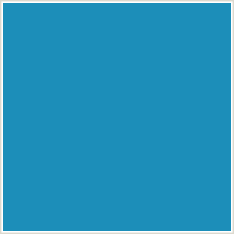1C8EB9 Hex Color Image (EASTERN BLUE, LIGHT BLUE)