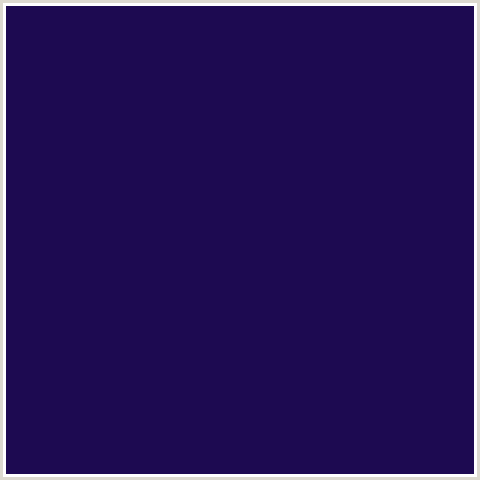 1D0A51 Hex Color Image (BLUE VIOLET, VIOLENT VIOLET)