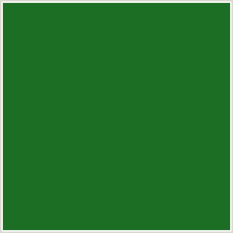 1D6E25 Hex Color Image (FOREST GREEN, GREEN)