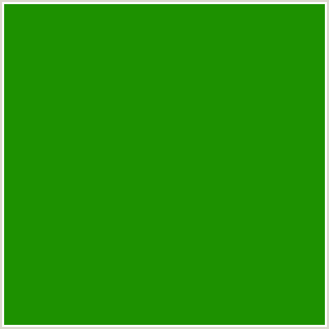 1D9100 Hex Color Image (FOREST GREEN, GREEN, JAPANESE LAUREL)