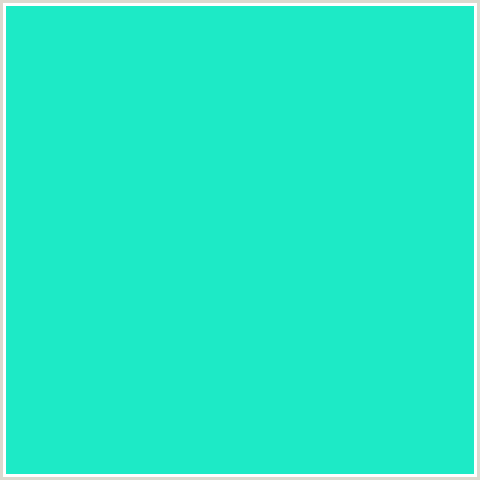 1DEAC6 Hex Color Image (BLUE GREEN, BRIGHT TURQUOISE)