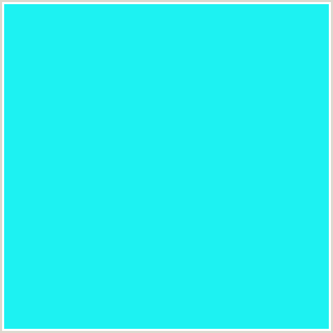 1DF2F2 Hex Color Image (BRIGHT TURQUOISE, LIGHT BLUE)
