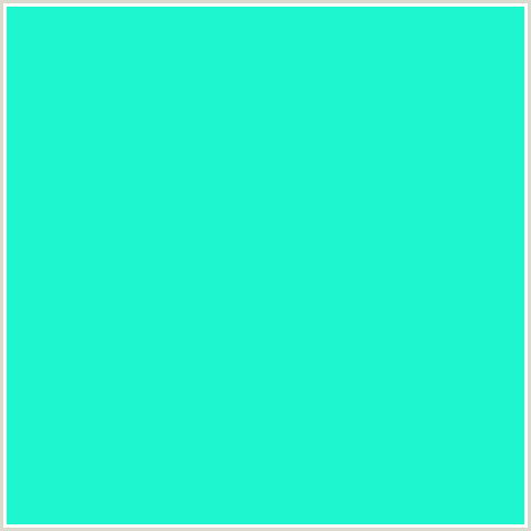 1DF6CF Hex Color Image (BLUE GREEN, BRIGHT TURQUOISE)