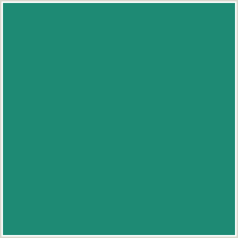 1E8A74 Hex Color Image (BLUE GREEN, ELM)