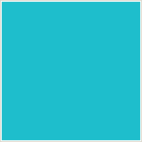 1EBECC Hex Color Image (JAVA, LIGHT BLUE)