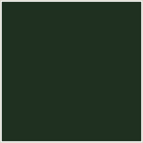 1F3020 Hex Color Image (GREEN, GREEN KELP)