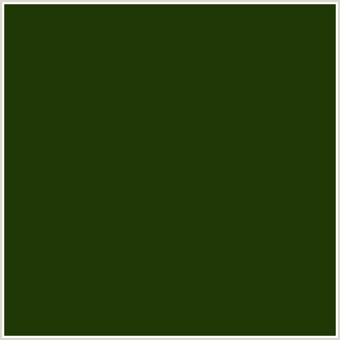 1F3806 Hex Color Image (GREEN, PINE TREE)