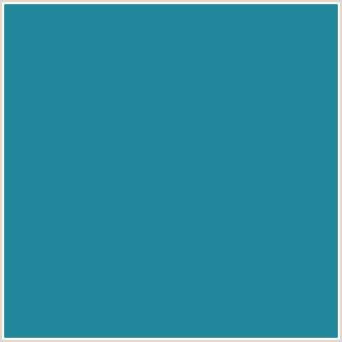 1F8799 Hex Color Image (JELLY BEAN, LIGHT BLUE)