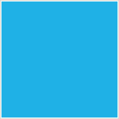1FB1E6 Hex Color Image (LIGHT BLUE, PICTON BLUE)
