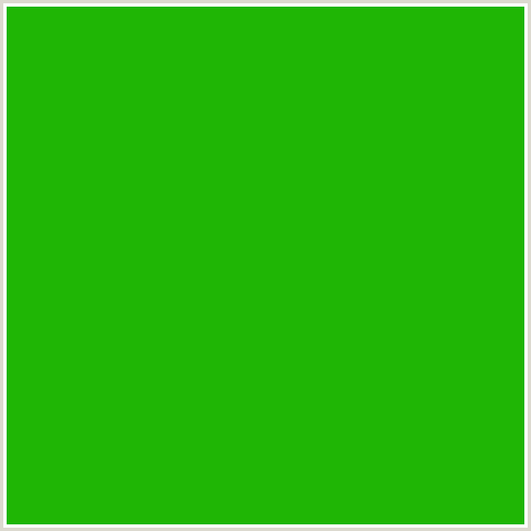 1FB605 Hex Color Image (GREEN, LIMEADE)