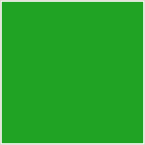 20A324 Hex Color Image (FOREST GREEN, GREEN)