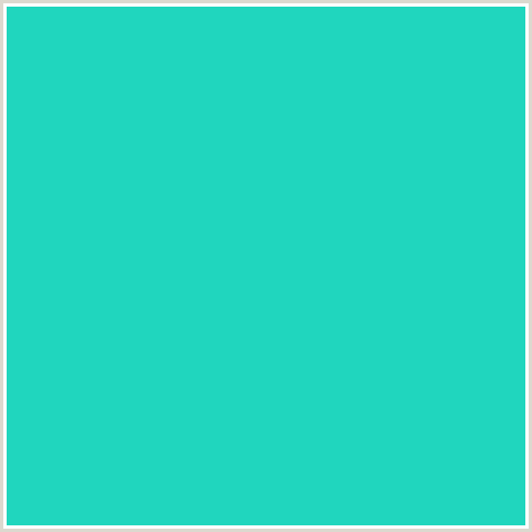 20D6BE Hex Color Image (BLUE GREEN, JAVA)