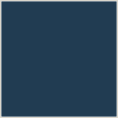 213C52 Hex Color Image (BLUE, BLUE DIANNE, MIDNIGHT BLUE)