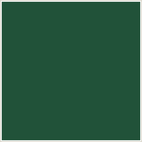 215239 Hex Color Image (EVERGLADE, GREEN BLUE)