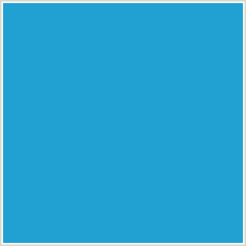 21A0D2 Hex Color Image (CURIOUS BLUE, LIGHT BLUE)