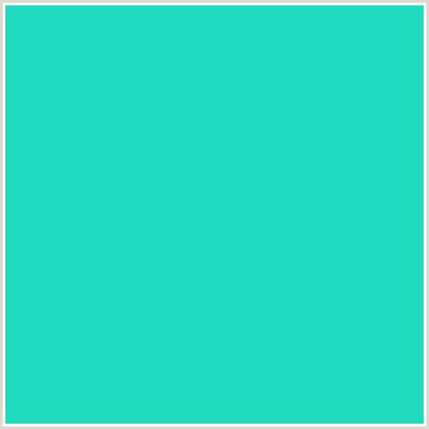 21DBBF Hex Color Image (BLUE GREEN, JAVA)