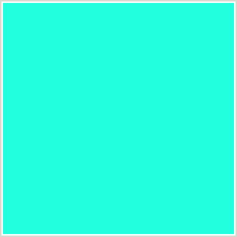 21FFDE Hex Color Image (BLUE GREEN, CYAN)