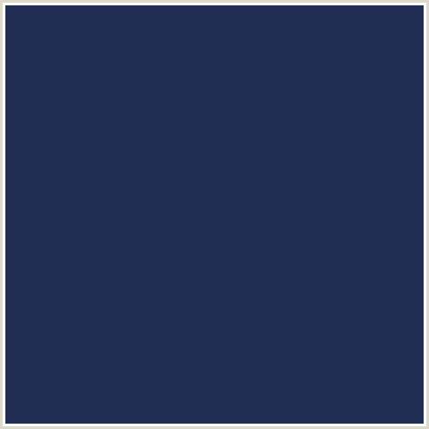 222D54 Hex Color Image (BLUE, CLOUD BURST, MIDNIGHT BLUE)