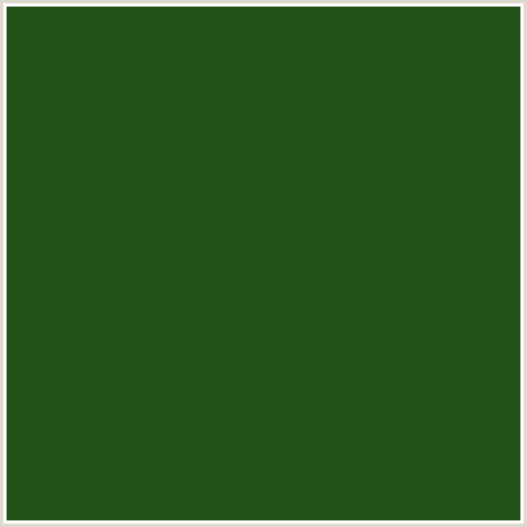 225117 Hex Color Image (GREEN, PARSLEY)