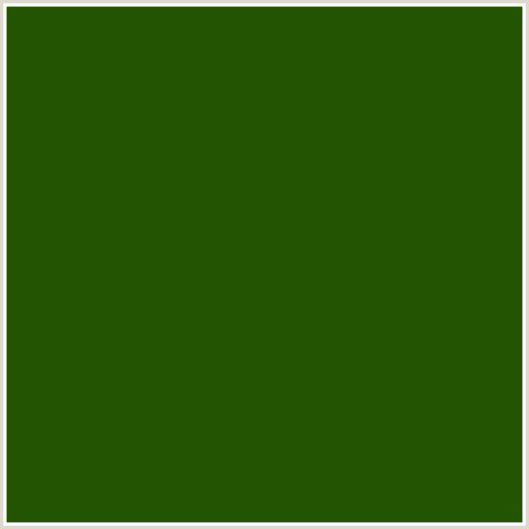 225402 Hex Color Image (GREEN, JAPANESE LAUREL)