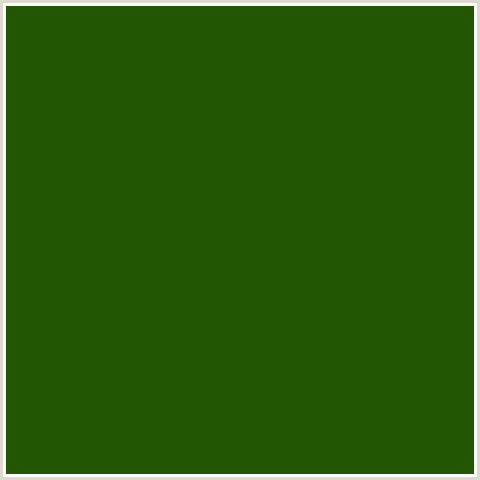 225603 Hex Color Image (GREEN, JAPANESE LAUREL)