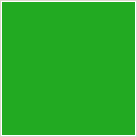 22AA22 Hex Color Image (FOREST GREEN, GREEN)