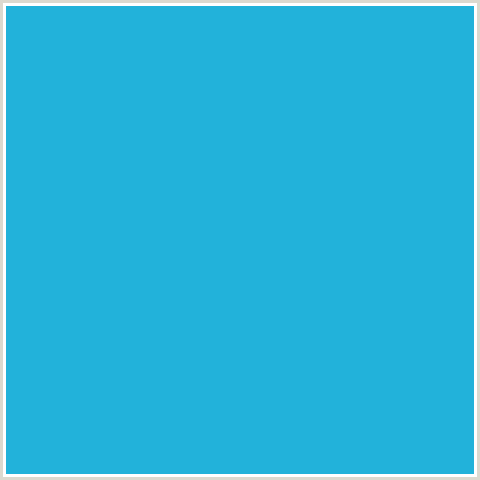 22B2DA Hex Color Image (CURIOUS BLUE, LIGHT BLUE)